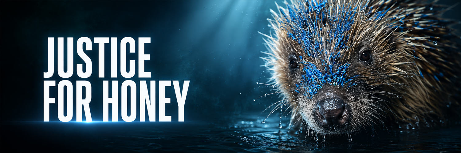 Justice for Honey banner